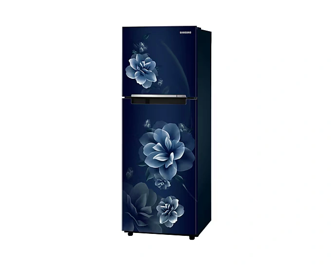 Refrigerator - Samsung - 236 L, Double Door, 2 Star - (RT28C3022CU, Frost Free) IMG03
