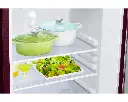 Refrigerator_SAMSUNG_ RR21H2G25WR_IMG12.webp