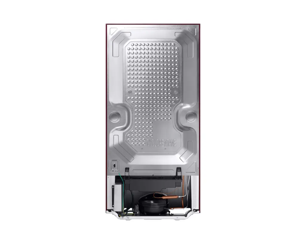 Refrigerator_SAMSUNG_ RR21H2G25WR_IMG07.webp