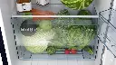 Refrigerator_BOSCH_CST18B23NI_IMG05.webp
