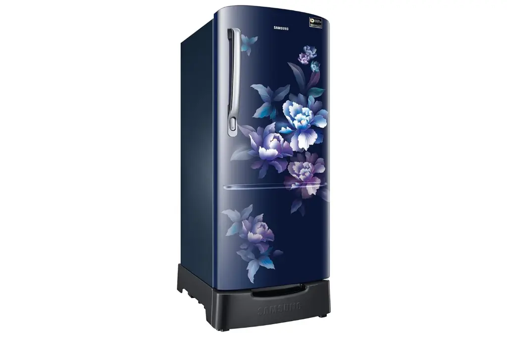 Refrigerator_SAMSUNG_RR20H1812HV_IMG06.webp