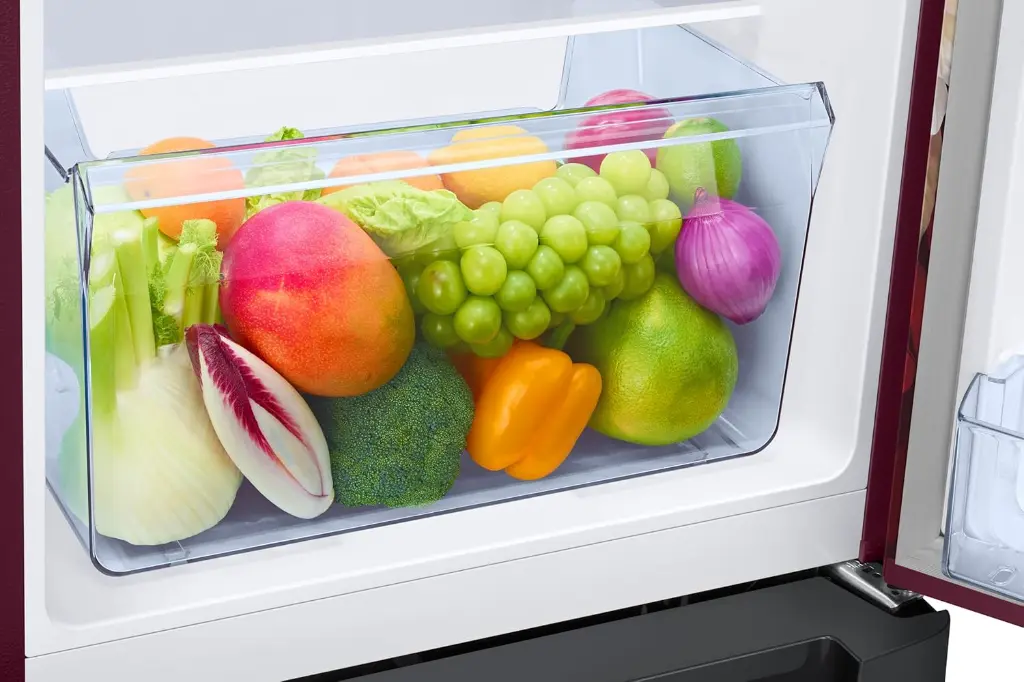 Refrigerator_SAMSUNG_RR21H2H25BR_IMG09.webp