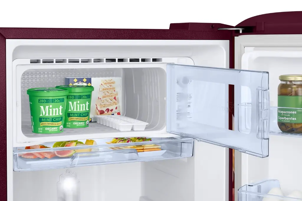 Refrigerator_SAMSUNG_RR21H2H25BR_IMG10.webp