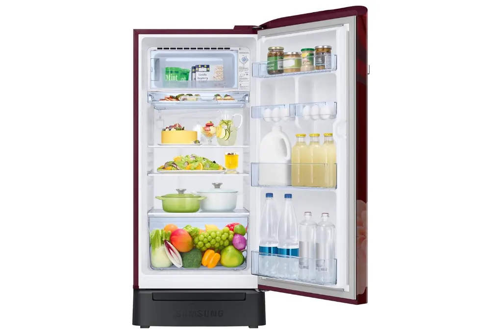 Refrigerator_SAMSUNG_RR21H2H25BR_IMG07.webp
