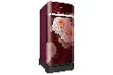 Refrigerator_SAMSUNG_RR21H2H25BR_IMG05.webp
