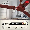 CEILING FAN_IMPEX_WHIZSTAR_IMG-02.webp