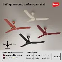 CEILING FAN_IMPEX_WHIZSTAR_IMG-05.webp
