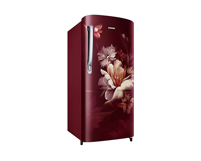 Refrigerator - Samsung - 183 L, Single Door, 5 Star - (RR20D2725RZ, Direct Cool) IMG03